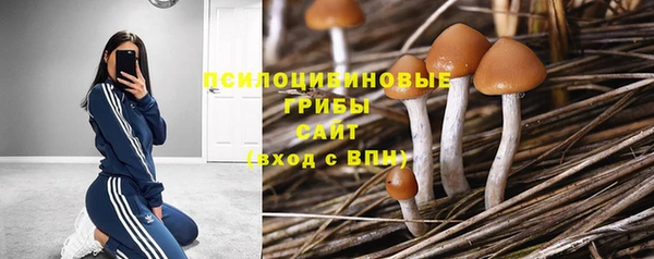 мяу мяу кристалл Мегион