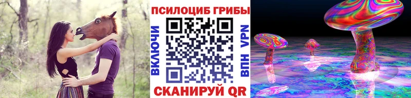 купить закладку Правдинск Галлюциногенные грибы GOLDEN TEACHER